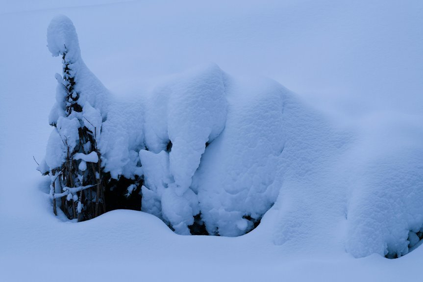 sunthread codex unbroken drift