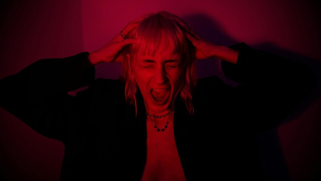 ds3chipdus3 version details breakdown