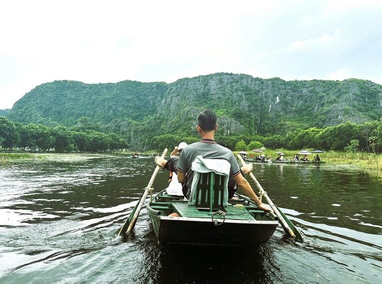 top nmn supplement guide