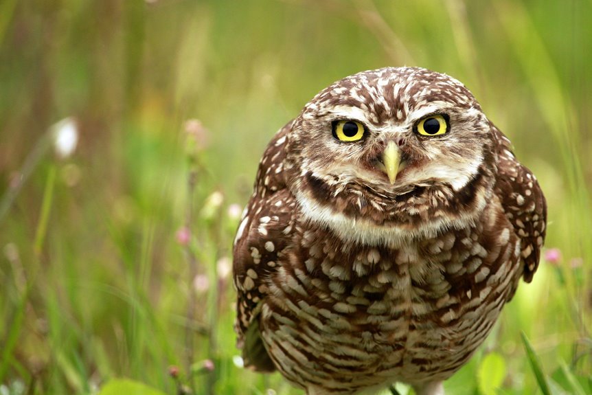 unique digital patterns analysis