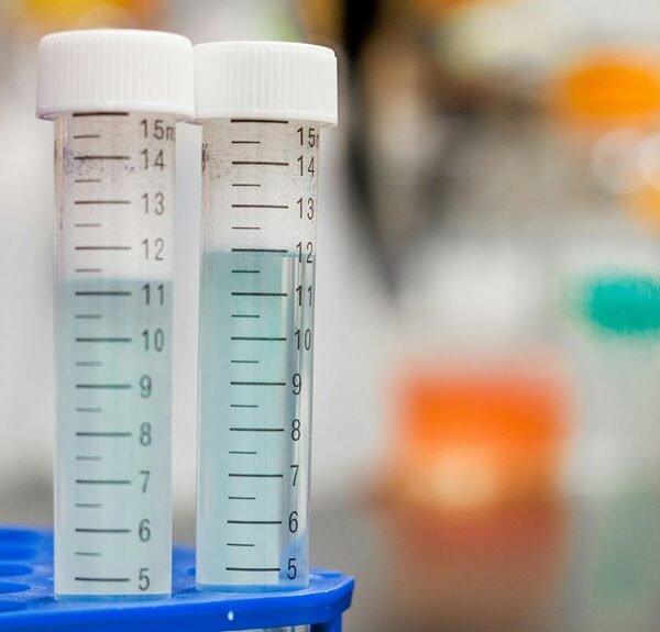 scientific research contact numbers