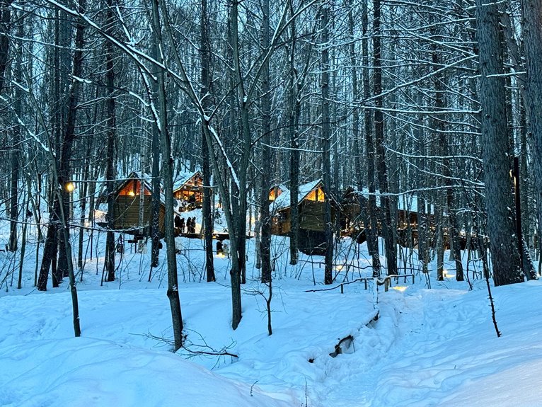 cozy mountain cabin retreats