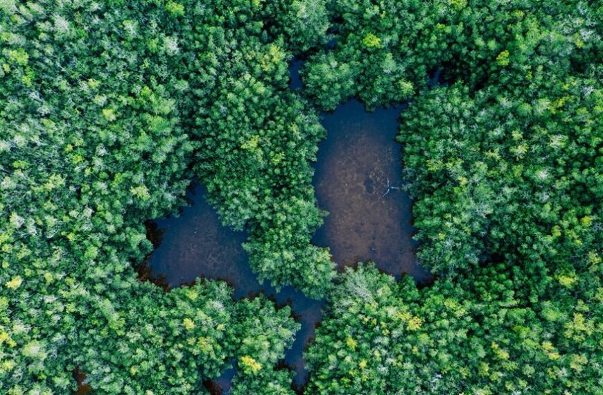 mountain ecosystems conservation contacts