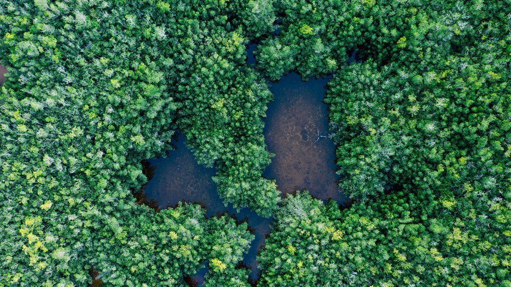 mountain ecosystems conservation contacts
