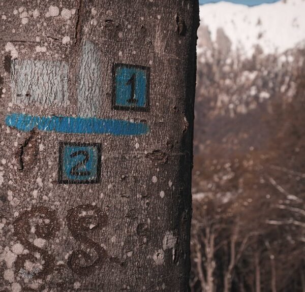 sacred mountains landmark contacts